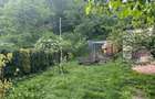 Vilă cu livadă, inconjurata de pădure, oază de liniște și relaxare - 14