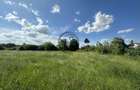 Teren intravilan de vanzare | 11.000 mp | Ghirdoveni | Comision 0% - 6