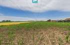 Teren extravilan 5000 mp, Arad - 12