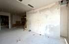 Penthouse Triplex Exclusivist *285mp* // Rooftop *93mp* // 2 Parking / Herastrau - 30