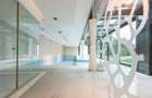 Vila, design ambitios, spatii luminoase in conexiune cu natura - 21