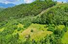 Investitie Smart in Moieciu, 3.1 ha, Panoramă 360 Bucegi - Piatra Craiului - 8