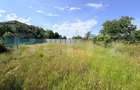 Teren intravilan, 700 mp, Cosoveni - 2