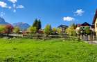 Teren intravilan la marginea pădurii, cu vedere spectaculoasă spre Bucegi  - 3