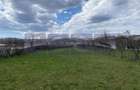 TEREN INTRAVILAN DE VÂNZARE – BEREVOIEȘTI, ARGES – 14.400 MP - 1
