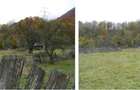 Teren - 5997  mp, Sat. Salistea - 4