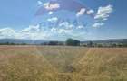 Teren 7,200mp Sighetu Marmatiei / Strada Doboies - 2