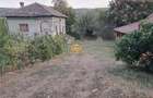 Casă cu teren 1.149 mp, vie și pomi fructiferi Nicolae Bălcescu - 1