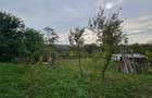 Teren 1000 mp cu tiny house, priveliste spre rau si padure- la 1h30 de Bucuresti - 11