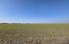 Teren intravilan 500 mp in Corbu, ideal pentru investitie - 4