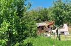 Proprietate în Comuna Botești, Județul Argeș – Zonă Pitorească și Liniștită ! - 3