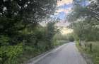 Priveliste superba teren ideal vile sau camping utilitati la strada - 4