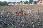Teren de vanzare parcelabil in Bucerdea Vinoasa - 2