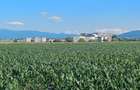 TEREN INTRAVILAN DE INVESTIȚIE – 47.000 MP - 6