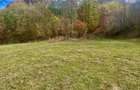 Teren la pădure, panoramic dealuri si păduri, curent si asfalt - 5