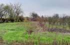 De vanzare casa +teren 16k mp in BARCANESTI / IL - 13