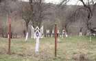 Pământ I Fereastră către Eternitate în  Transilvania - 15