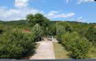 Arges | Valea Mare-Bratia | Vila 276 mp Lot 2063 mp | Zona Pitoreasca! - 9