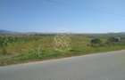 Teren 20000 mp (2 ha)-parcelabil-ideal cabane/agricultura/ferma-Jelna - 2