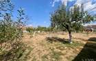Teren intravilan de vanzare | Tileagd | jud. Bihor - 7