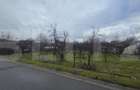 Teren intravilan 1.869 mp, front 80 metri, zona Cârcea - Stadion - 1