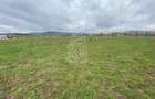 Teren Intravilan 550 mp-ideal casa-Zona Zavoaie - 2