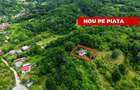 Proprietate de poveste în Corbi, Argeș - Doua case si 6300 mp teren intravilan - 1