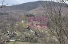 Teren intravilan de vanzare in Valea Doftanei - 10