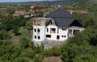 Oportunitate de Investiție | Proiect Boutique Hotel | Gheghie | Bihor
