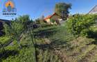 Casă Crizbav | 93 mp utili | Teren 560 mp | Toate utilitățile - 6