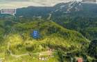 Teren intravilan Poiana Brasov - 6