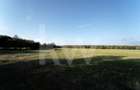 Teren extravilan 600 mp | Zona Șopa – Cisnădie | Front 18,30 m - 8