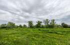 Teren intravilan 6010 mp, zona Sebes - 3