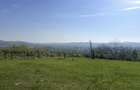 Teren intravilan | 700 mp | ZONA Cetate | Alba Iulia | CONSTRUIBIL - 2
