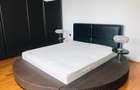 Casa D+P+E de inchiriat in Alba Iulia zona CETATE 350 mp si Teren 600 mp - 4