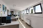 Vila de vanzare\inchiriere Calea Grivitei - 12