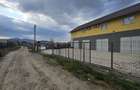 Hala si spatii de birouri-Spațiu versatil în zonă excelentă - 3