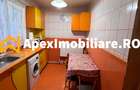 Apartament 2 camere de inchiriat Giurgiului București | ApexImobiliare.ro - 6