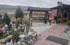 Casa de Lux 6 camere-480mp-teren 1100mp-service tinichigerie-Arcalia - 6