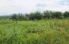 Teren Intravilan cu PUZ \ destinatie Comercial - 1