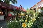 5 Camere Tunari Teleorman | Centrală termică | Grădina cu pomi fructiferi - 7