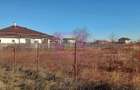 Săbăreni, teren intravilan construibil, cu utilităti in apropiere - 4