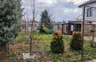 Casa 4 camere mobilata si utilata- spatioasa- teren 644 mp- Berceni - 5
