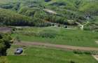 Proprietate de vanzare langa liziera pădurii Coas - 9