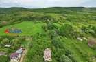 AZURA Imobiliare - Budeasa, Teren 5.069 mp, Casa BONUS - 9