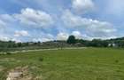 Teren de vânzare în Cisnădioara, aproape de cetate, cu priveliște superbă - 13