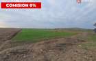 COMISION 0% Teren extravilan agricol 10.000 mp la sosea in Sag - 1