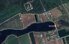 Teren de vânzare cu acces direct la lac, între pădure și apă – Moara Vlăsiei - 4