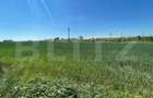 Teren intravilan 25.000 mp, front 300 mp , zona industriala Qfort - 3
