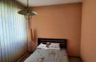 De vanzare casa 5 cam, singur in curte, Cal. Voinicenilor, Zona Horgosa - 16